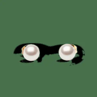 Pearl Stud Earrings Rose Gold from Daniel Wellington